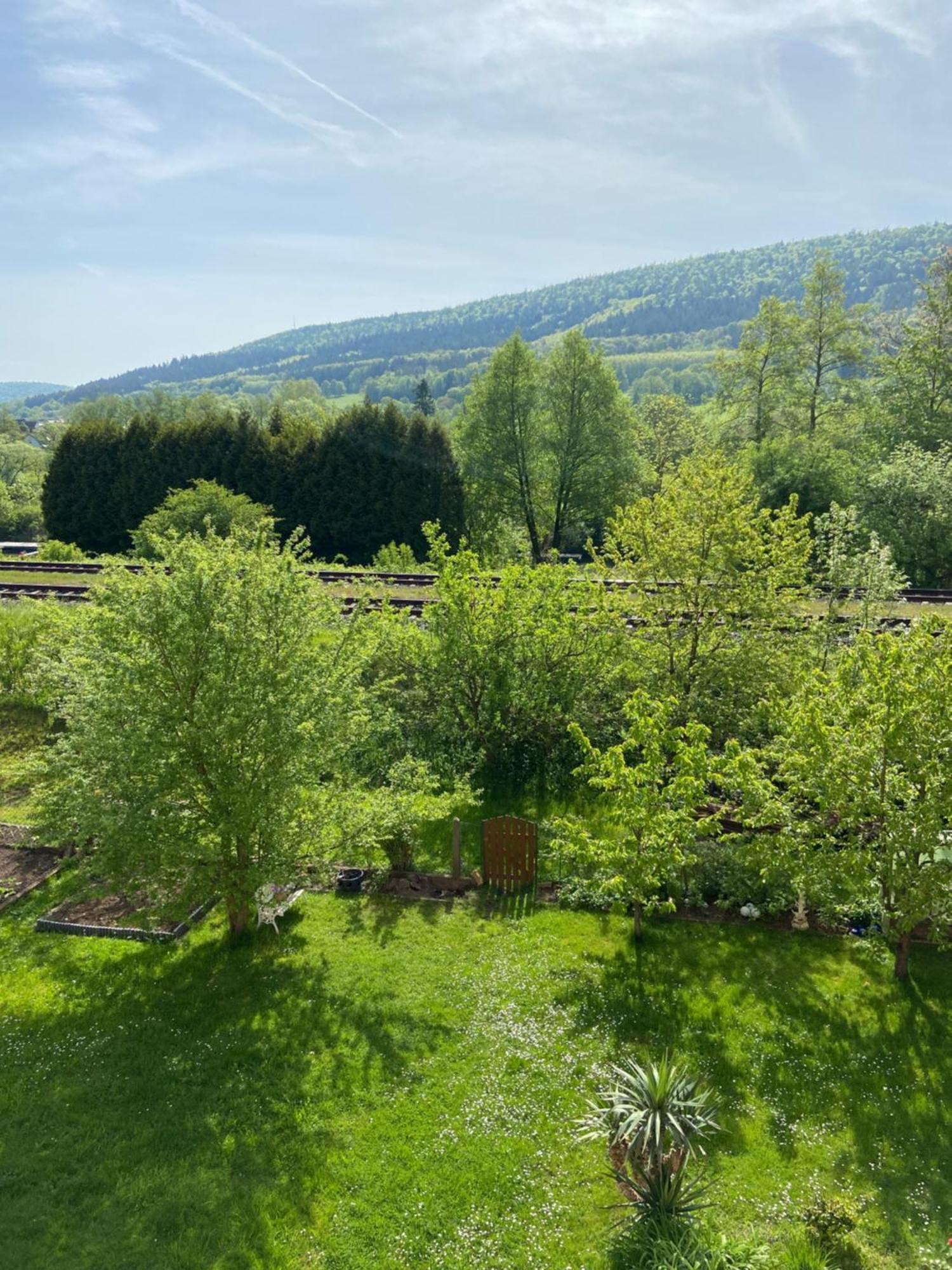 2Z-Ferienwohnung, Umgeben Vom Spessart & Main Stadtprozelten Экстерьер фото